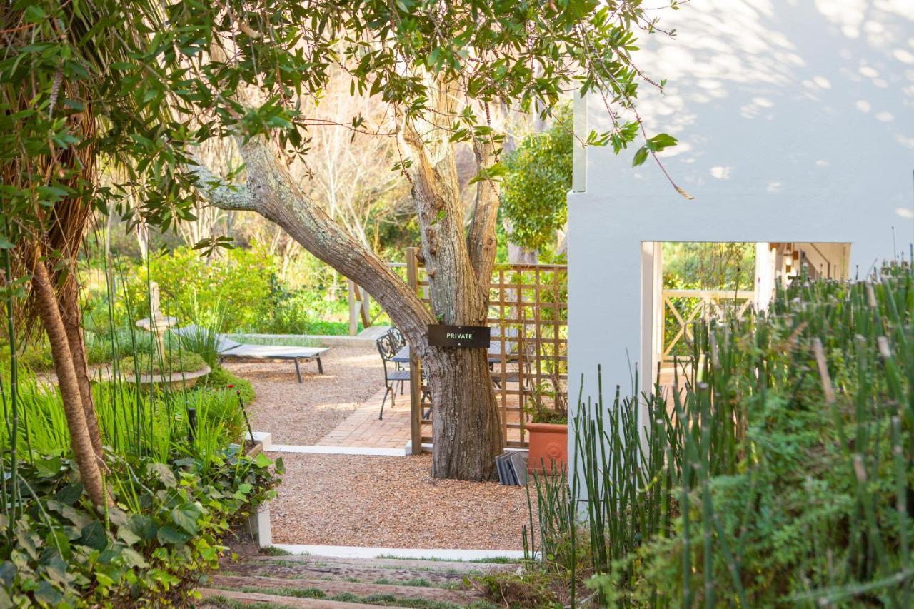 33 Strawberry Lane - Studio&Cottage Città del Capo Esterno foto